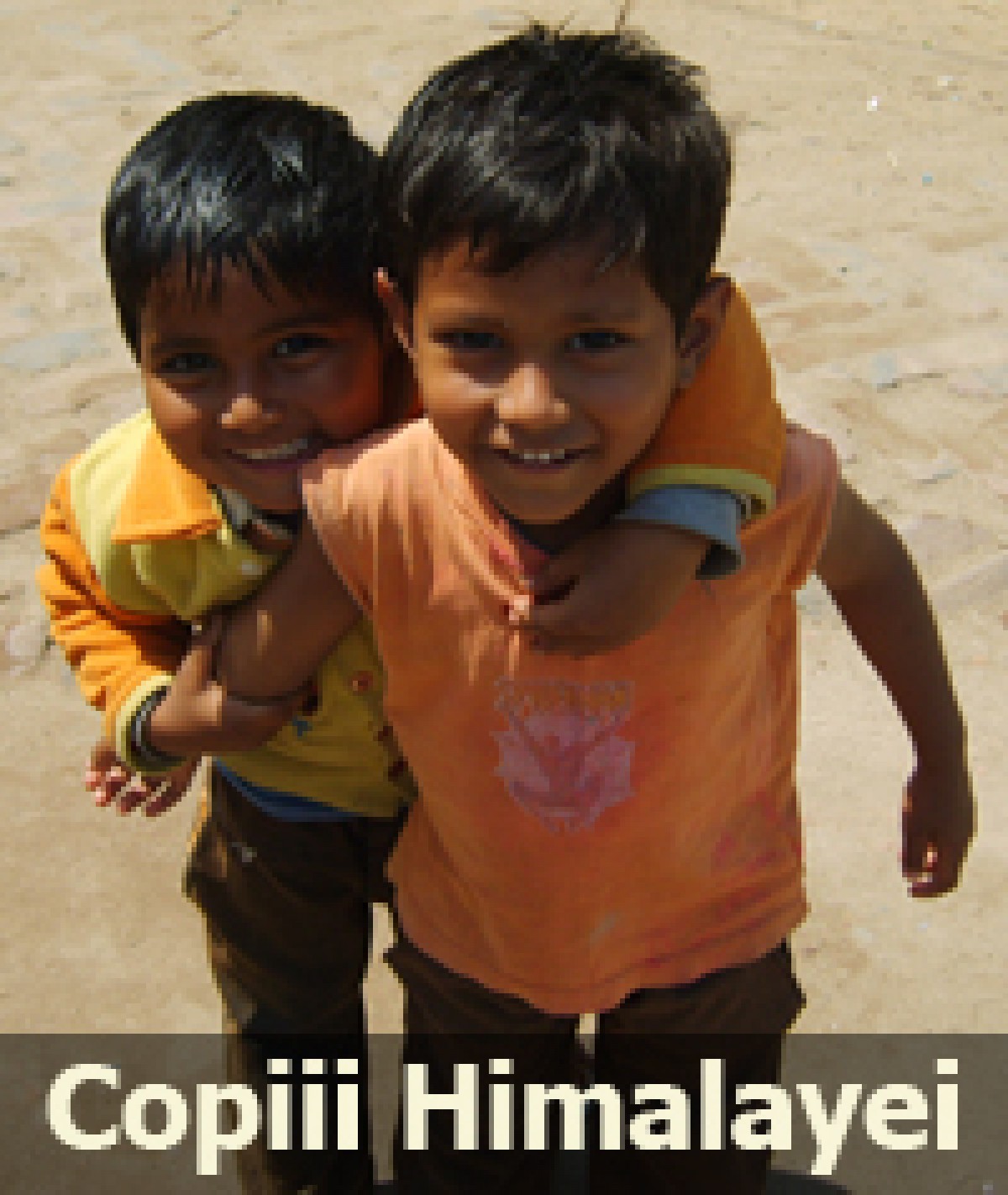 Proiect India - Copiii Himalayei