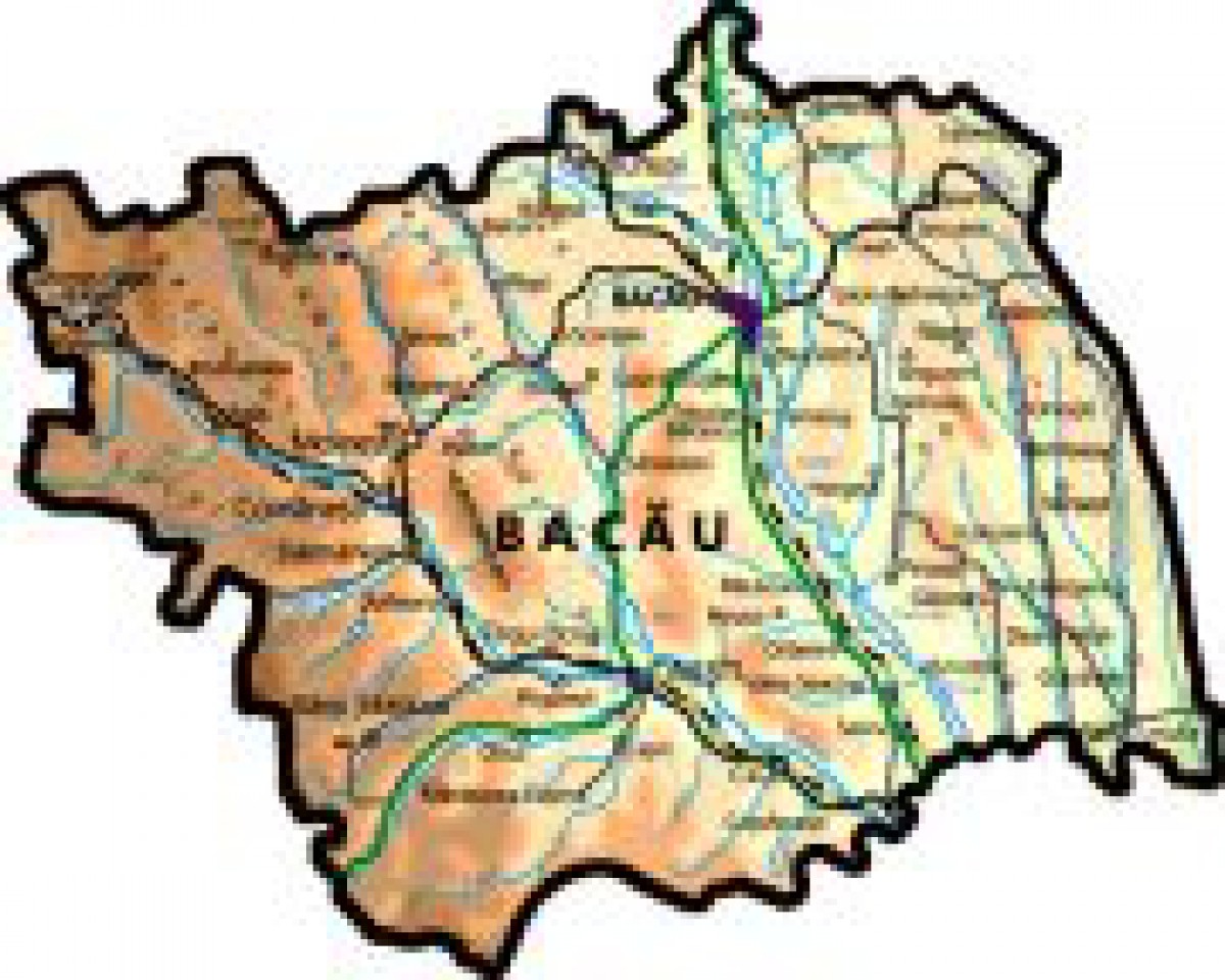Evanghelizare la Bacau